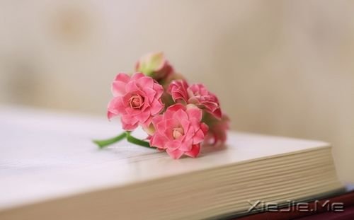 早安心语：忍不了痛苦，就见不到幸福 (1)